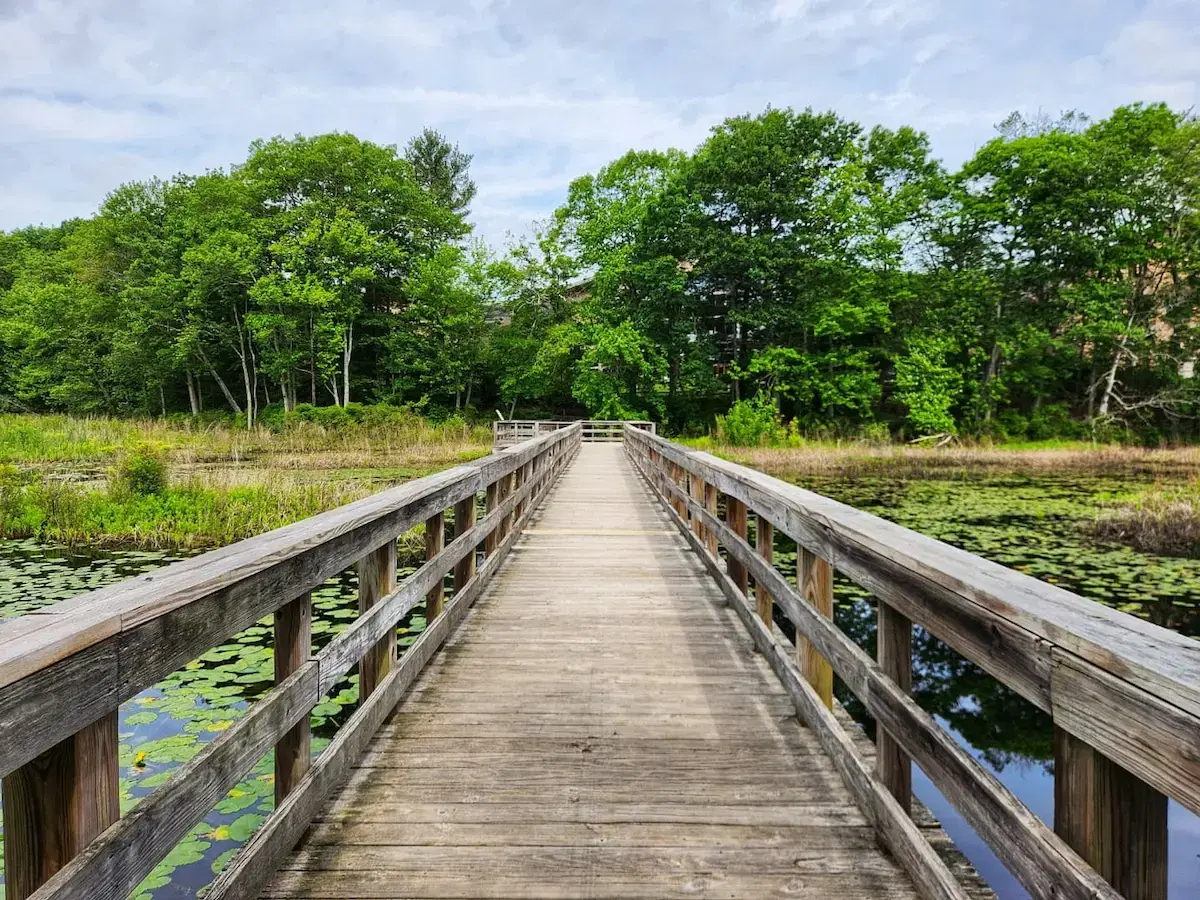Nature Trail und Ocean Spray Cranberry Bog
